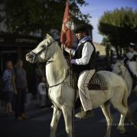 Cheval de tete